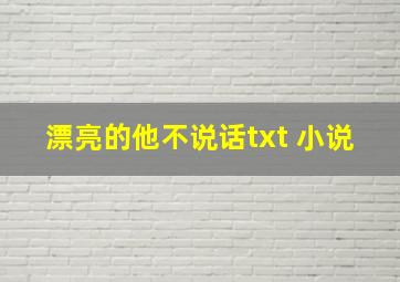 漂亮的他不说话txt 小说